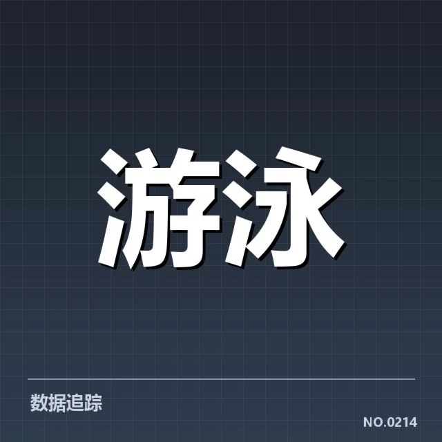 具体比赛成绩与运动员表现核查